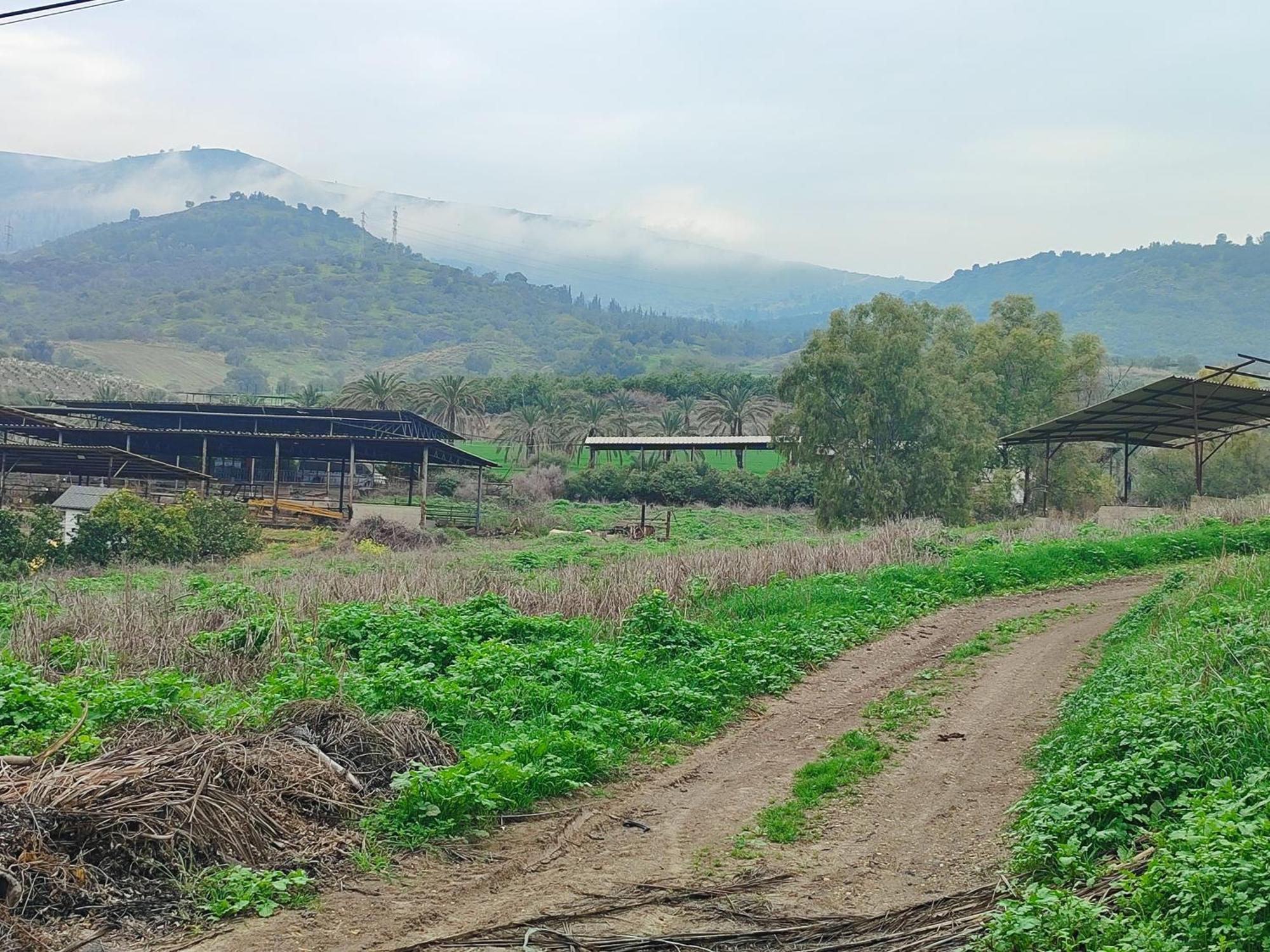 Family Cabin Menaẖemya Zewnętrze zdjęcie